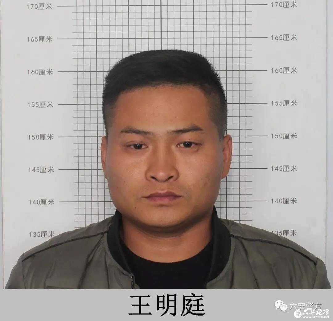 六安警方关于积极检举揭发张同亮犯罪组织违法犯罪线索的通告