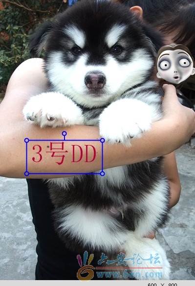 444_副本.jpg