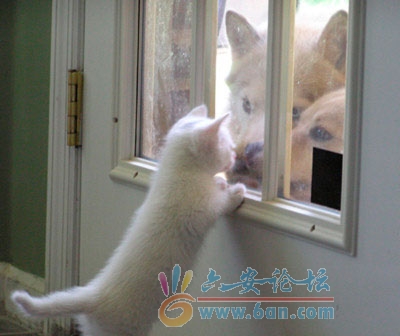 里面：我开门你会吃掉我吗？ 外面：不会啦，我会用吐掉的.jpg