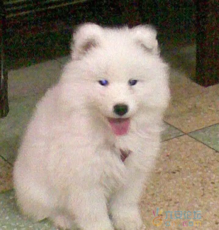20110617-001.jpg