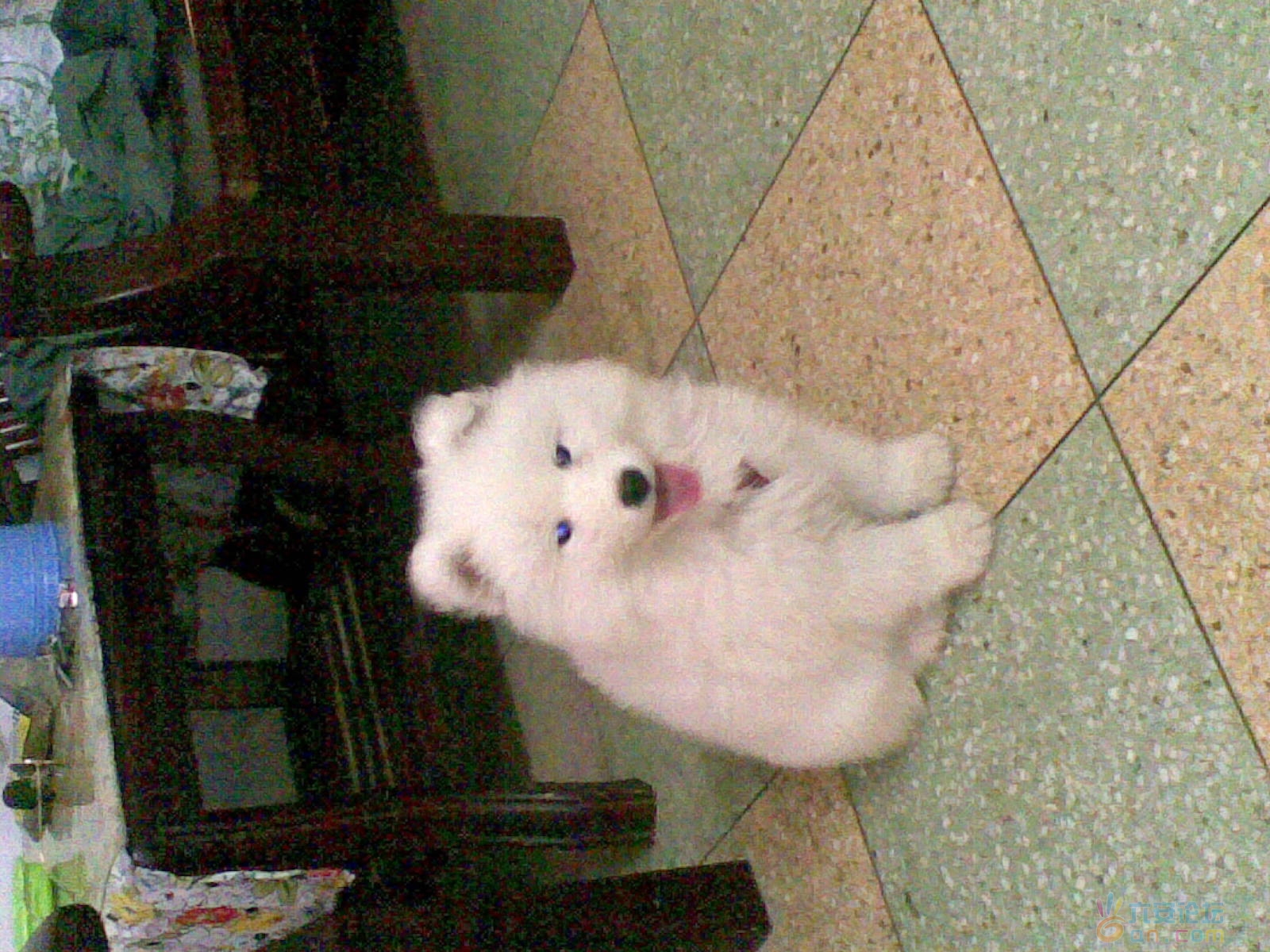 20110617.jpg