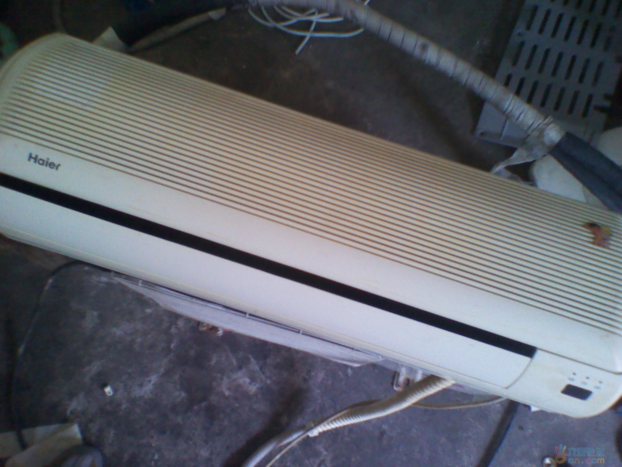 2011-07-03 10.36.05.jpg