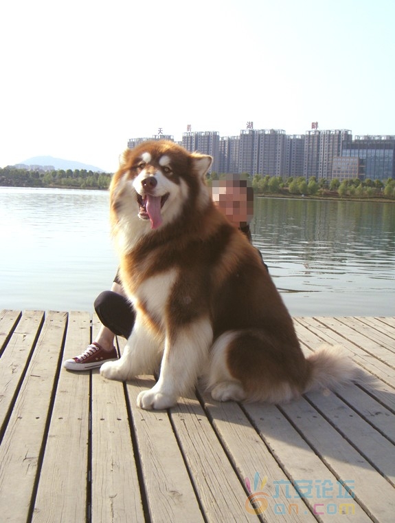 法拉利1.jpg