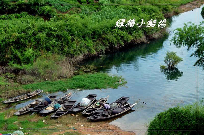 绿掩小船坞.jpg