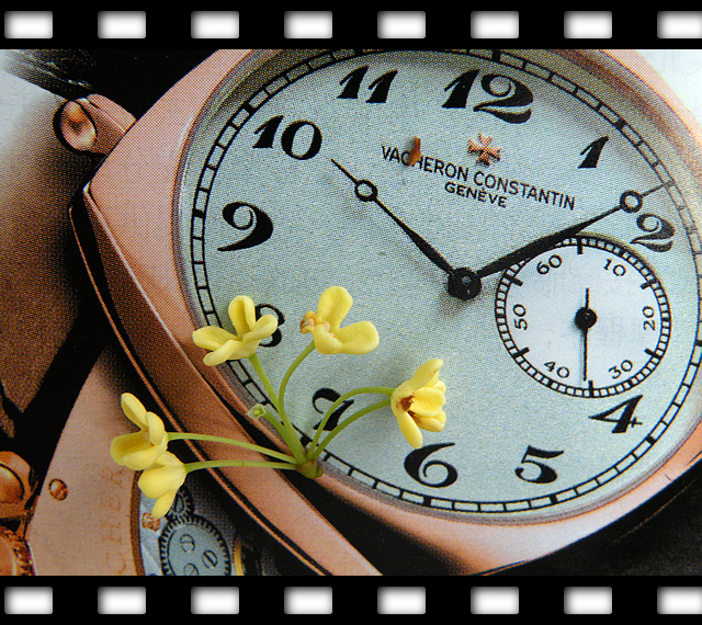 一朵桂花的文化之旅 (2).jpg