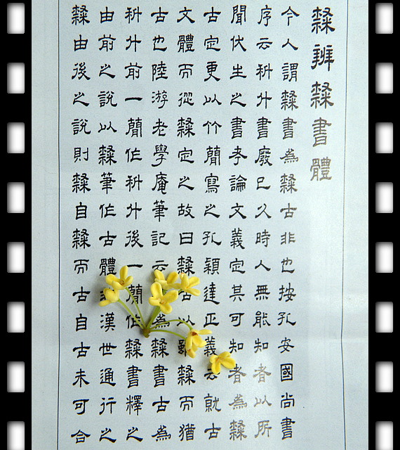 一朵桂花的文化之旅 (9).jpg