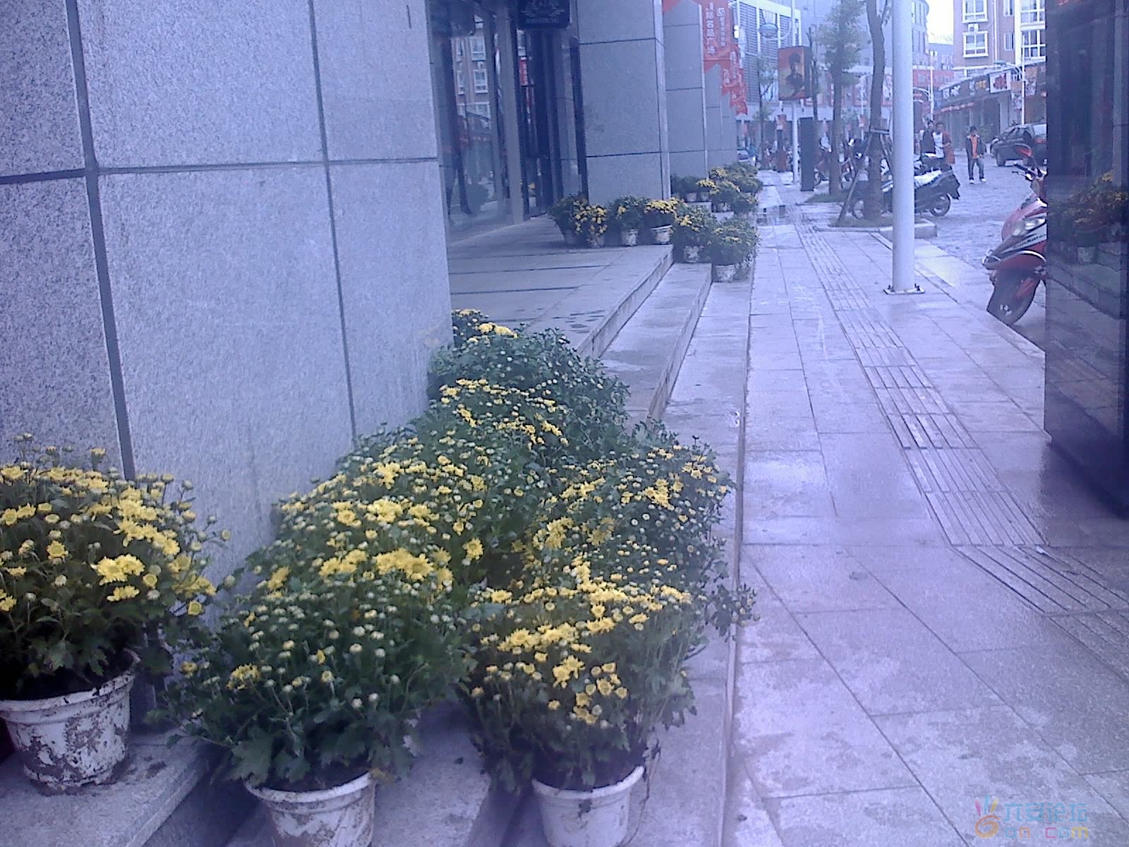 2011-9-10-00007.jpg