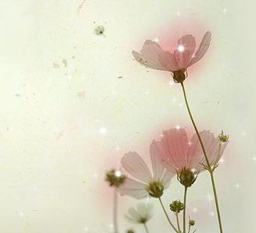 7e1f111a7db42dc486d6b6bc.bmp