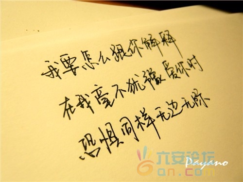 12912037177715.jpg