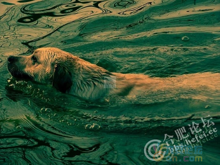 20110208_c9054c8745ae24ced323t51hMumLTGIB.jpg