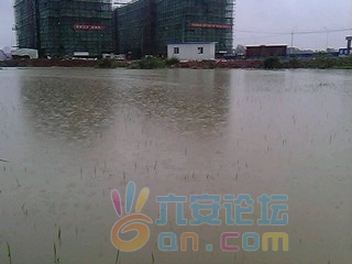 IMG0145A.jpg IMG0145A.jpg