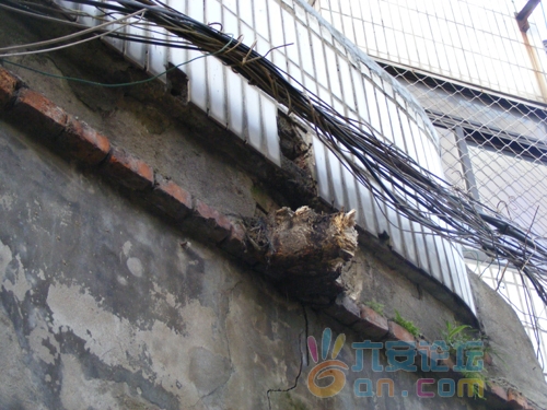 DSCF4900.jpg