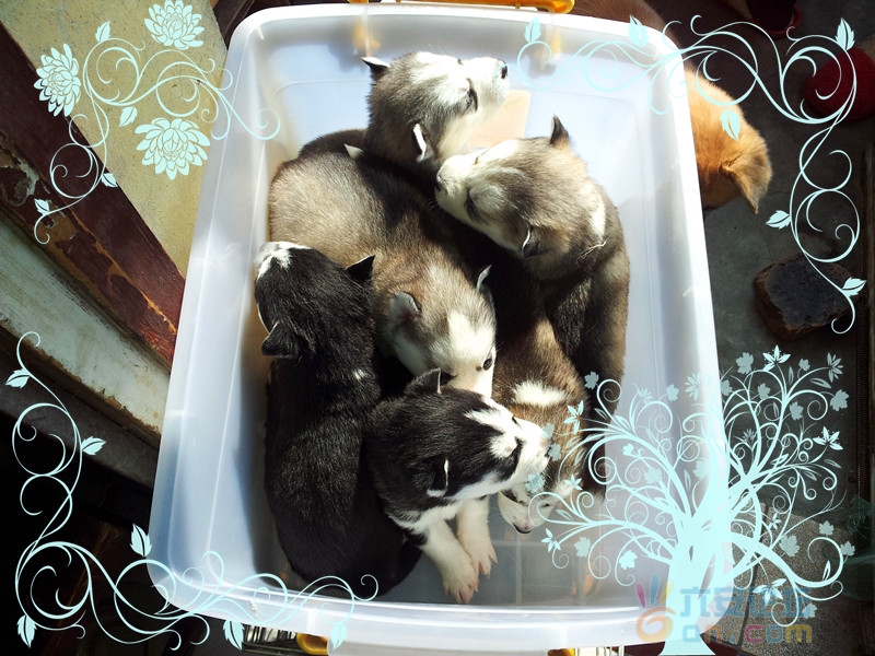 2011-11-12 11.30.00_副本.jpg