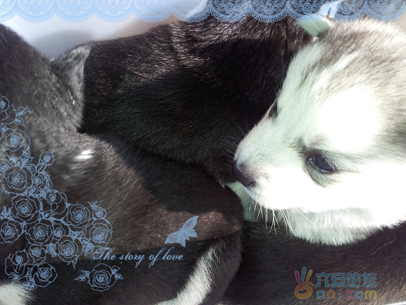 2011-11-12 11.30.22_副本.jpg