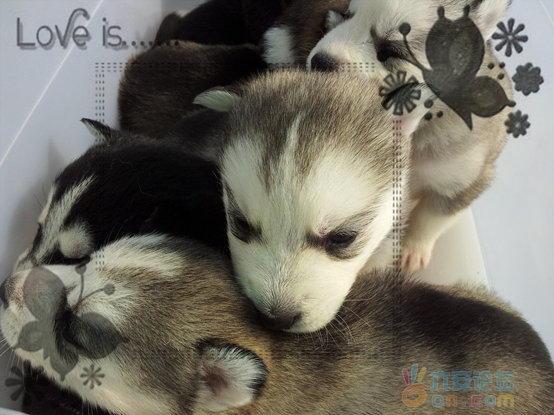 2011-11-12 11.33.18_副本.jpg