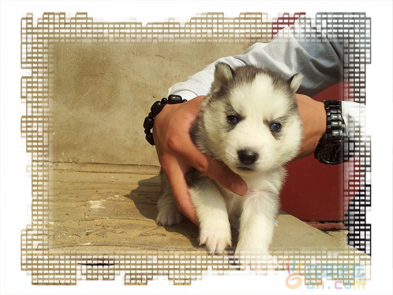 2011-11-12 11.34.59_副本.jpg