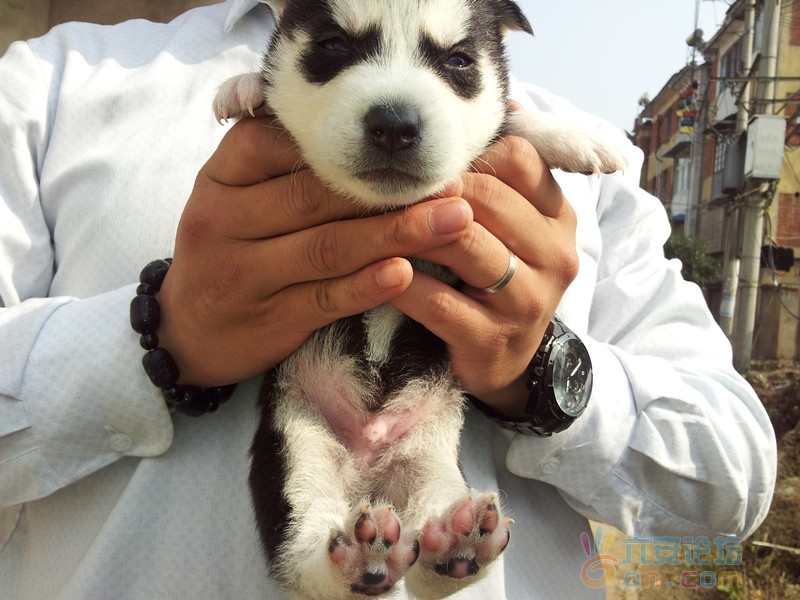 2011-11-12 11.36.00_副本.jpg