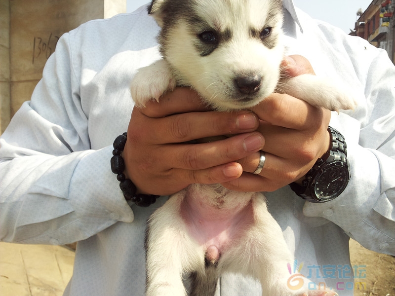 2011-11-12 11.36.53_副本.jpg