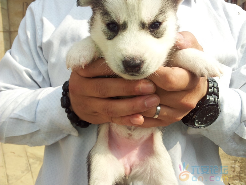 2011-11-12 11.37.00_副本.jpg