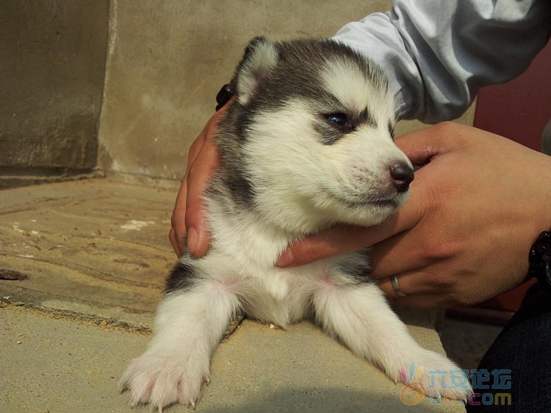 2011-11-12 11.38.34_副本.jpg