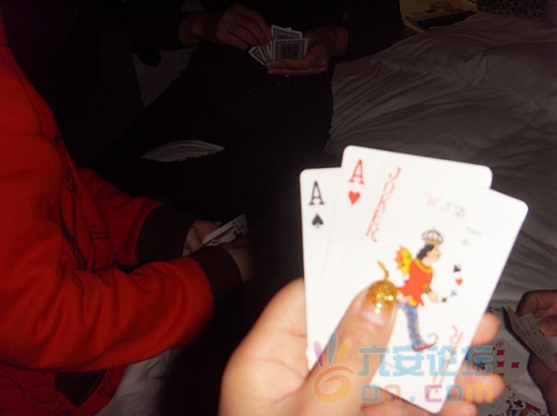 SDC15530_副本.jpg