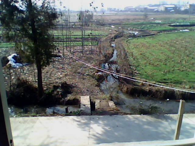 IMG0432A.jpg