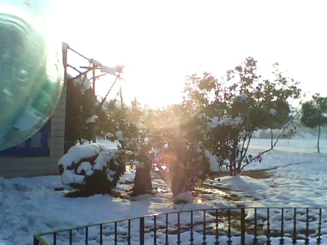 IMG0428A.jpg