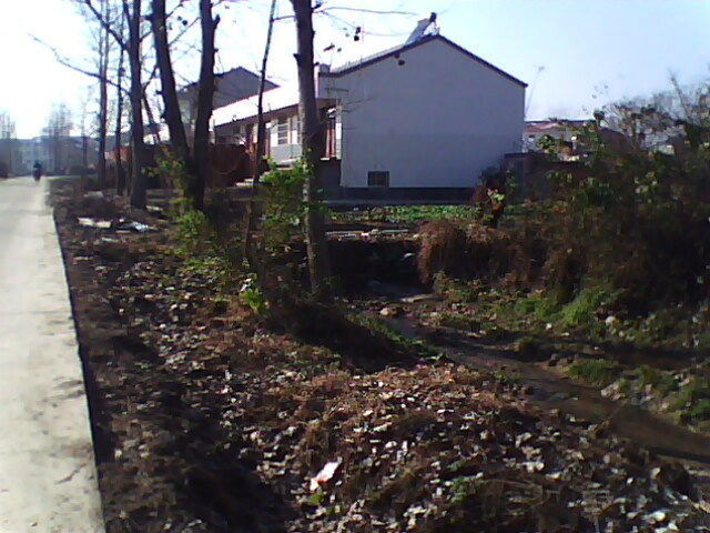 IMG0433A.jpg