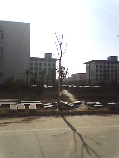 IMG0445A.jpg