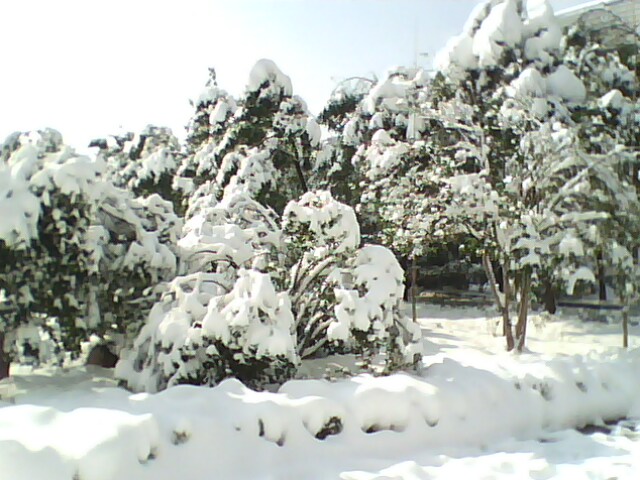 IMG0424A.jpg