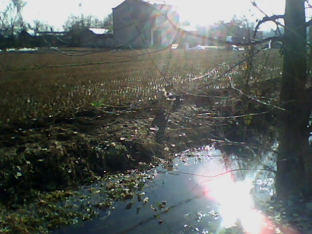 IMG0434A.jpg