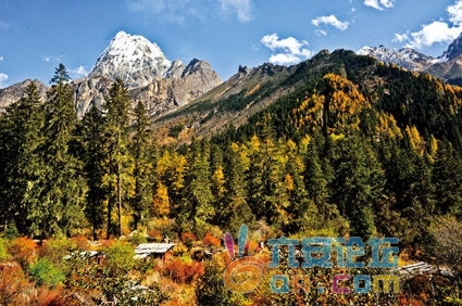 201110261509518126.jpg 201110261509518126.jpg