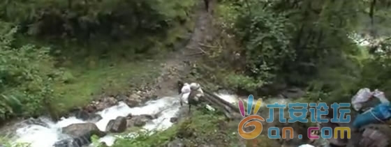 b_large_eDUk_362b0000d6711265.jpg