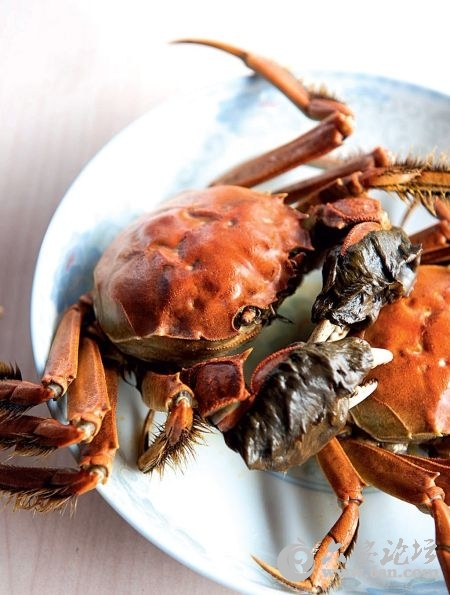 201112161124403209.jpg 201112161124403209.jpg