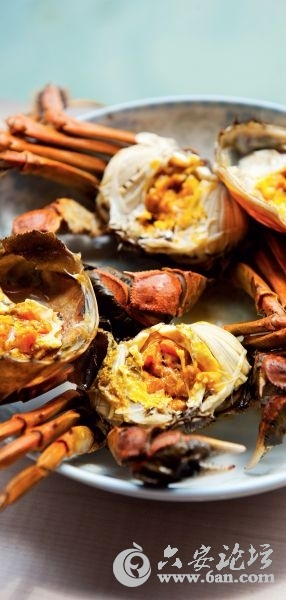 201112161124402909.jpg 201112161124402909.jpg