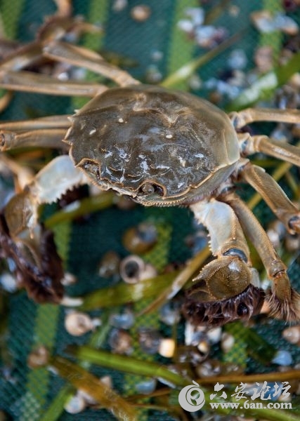 201112161124405627.jpg 201112161124405627.jpg