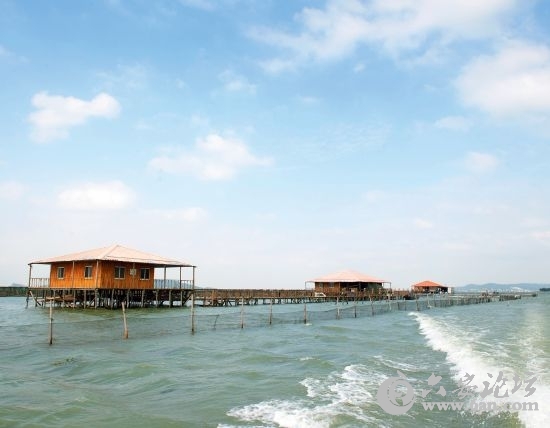 201112161124406822.jpg 201112161124406822.jpg