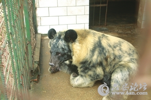 201112300913443166.jpg 201112300913443166.jpg