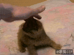 1321546397736.gif