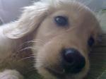 0910592492G.gif