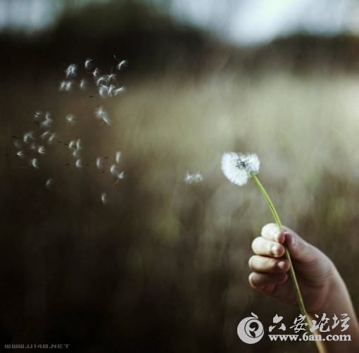 201008231934266324.jpg