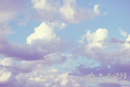 201004131021446857.jpg