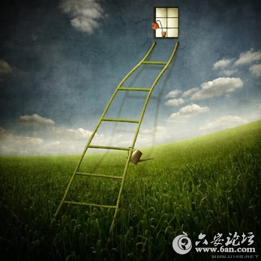 201001292044406346.jpg
