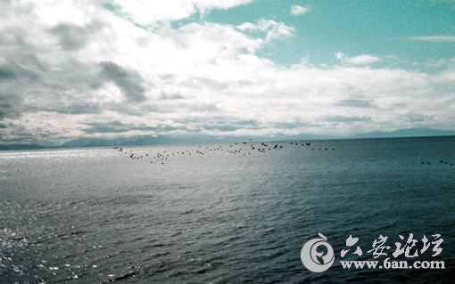201004051130326014.jpg