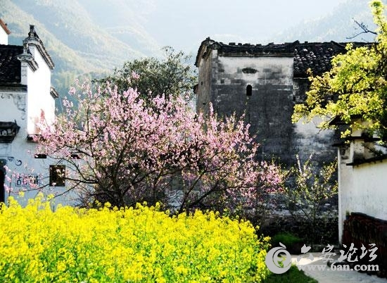 3993189739.jpg 3993189739.jpg