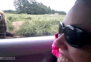 1330265718373.gif