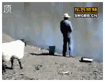 1330265381432.gif