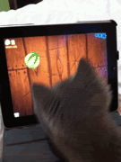1330266800266.gif