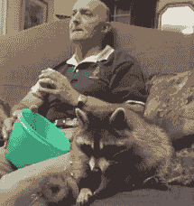 1330266905879.gif