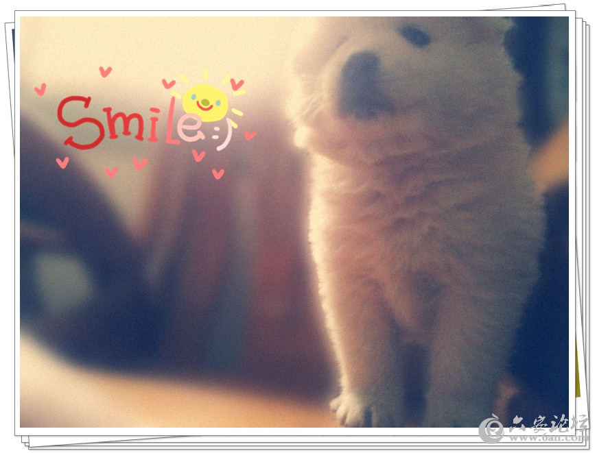 2012-03-22 13.59.54_副本.jpg